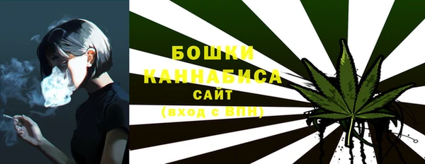 крисы Зерноград