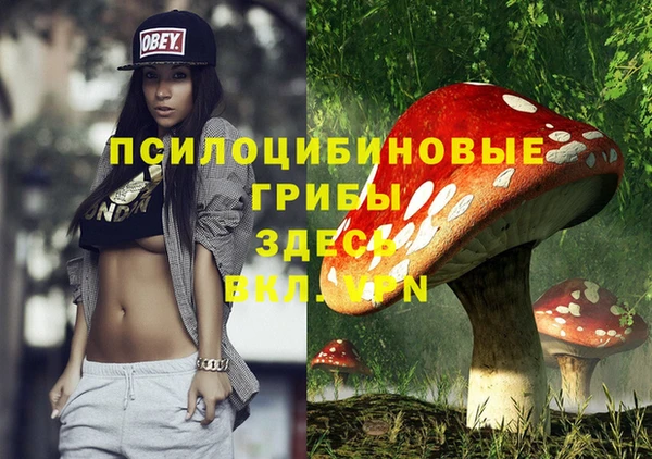 амф Зеленокумск