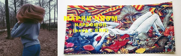 амф Зеленокумск