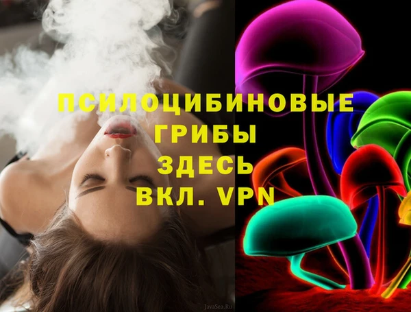 крисы Зерноград