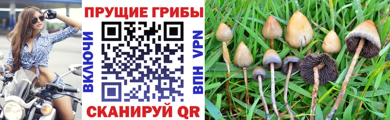Галлюциногенные грибы ЛСД  Купить  Искитим 